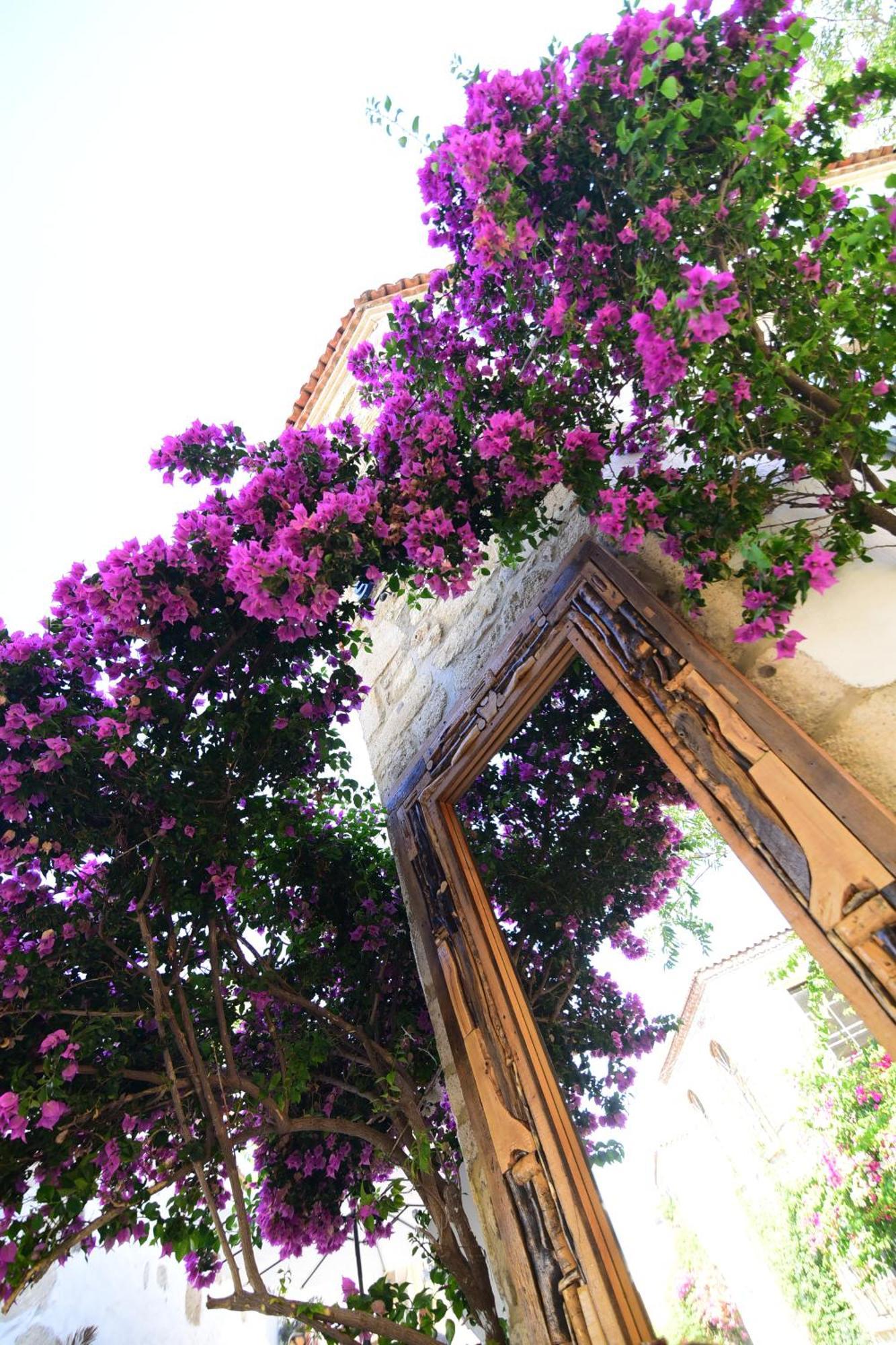 Yukari Sokak Vip Butik Otel Alacati Exterior foto